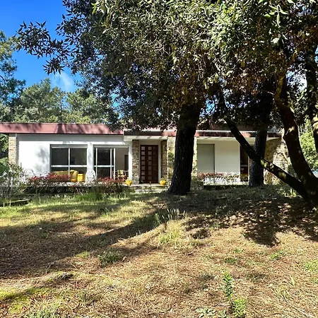 بيت للعطل Lumineuse 3 Avec Jardin A La Palmyre - Fr-1-705-104