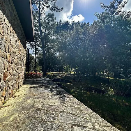 Dom wakacyjny 3 Ombragee Sous Pins, Proche Et Centre A La Palmyre - Fr-1-705-104 *