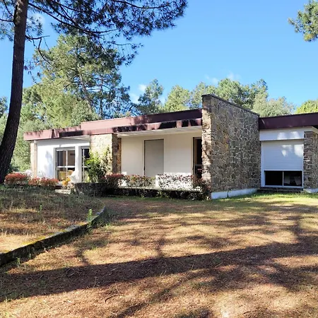 3 Ombragee Sous Pins, Proche Et Centre A La Palmyre - Fr-1-705-104 * Les Mathes