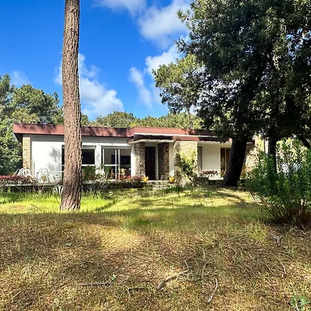 Dom wakacyjny 3 Ombragee Sous Pins, Proche Et Centre A La Palmyre - Fr-1-705-104 Les Mathes