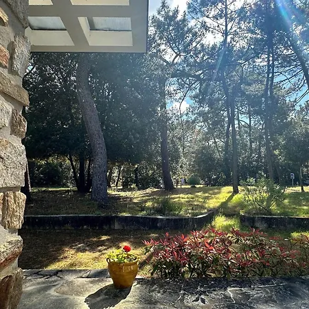 3 Ombragee Sous Pins, Proche Et Centre A La Palmyre - Fr-1-705-104 Dom wakacyjny Les Mathes